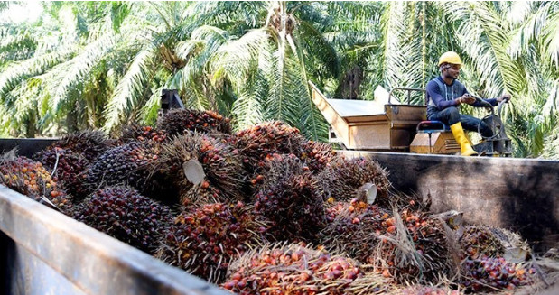 শ্রমিক সংকটে মালয়েশিয়া