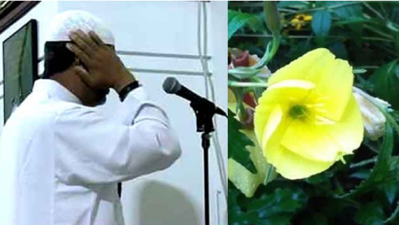 অদ্ভুত ফুল একটি ফুল,মসজিদের আজানের ধ্বনি ছাড়া ফোটে না