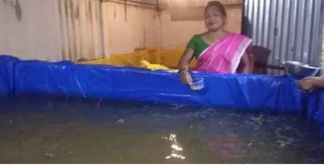 ঘরে ও বাড়িতে মাছ চাষে মাসিক আয় লাখ টাকা