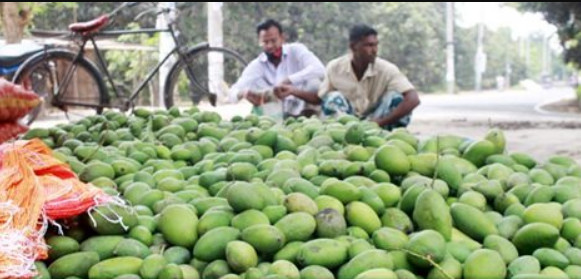 মাত্র ২ টাকা বিক্রি হচ্ছে আম