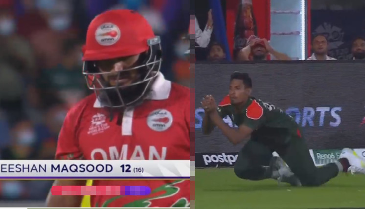 আউট আউট, আবারও উইকেট তুলে নিলো টাইগাররা,সর্বশেষ স্কোর