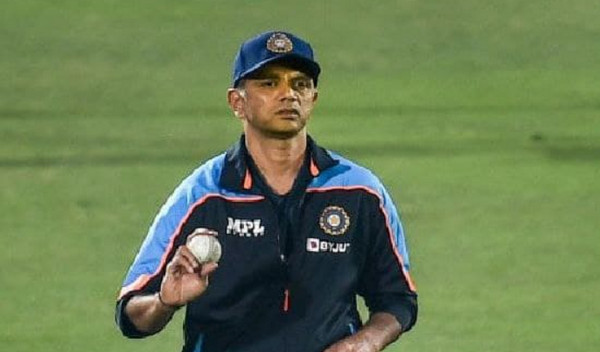 ‘বিশ্বে বাঘ আছে ৪ হাজার, কিন্তু রাহুল দ্রাবিড় একজনই’