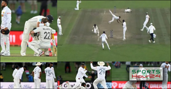৭৫ বছর পর ক্রিকেট বিশ্বে এমন ইতিহাস গড়লেন নিউজিল্যান্ড (ভিডিও)