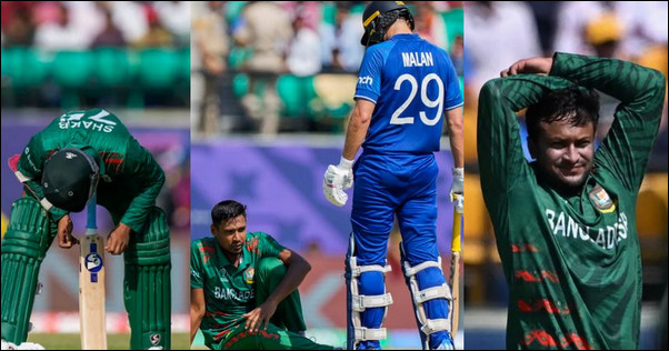 ‘বাঘ যখন বিড়াল’- ইংলিশদের পিটানিতে বাঘের মিউমিউ