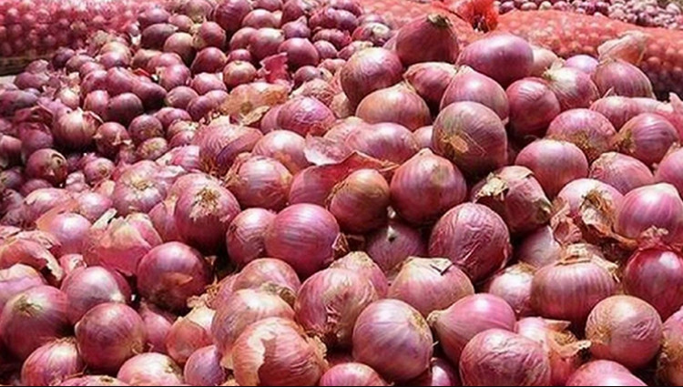 কমে যেতে শুরু করেছে পেঁয়াজের দাম, যেনে নিন কত