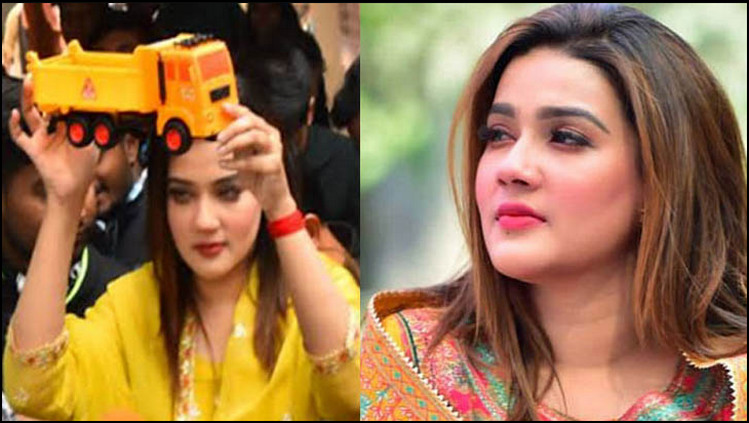 রাজনীতি থেকে আয়কৃত টাকা যা করবেন মাহি