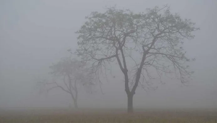 যে ৬ জেলায় রাতের তাপমাত্রা কমে যেতে পারে ২ ডিগ্রি সে. পর্যন্ত