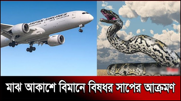 মাঝ আকাশে বিমানে সাপের আক্রমণ, তারপর যা হলো