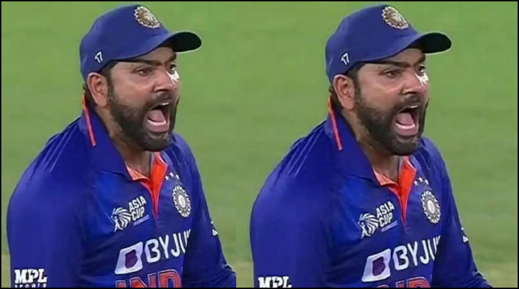 ভারতের ভিসা পেলোনা শোয়েব, রেগে গেলেন রোহিত