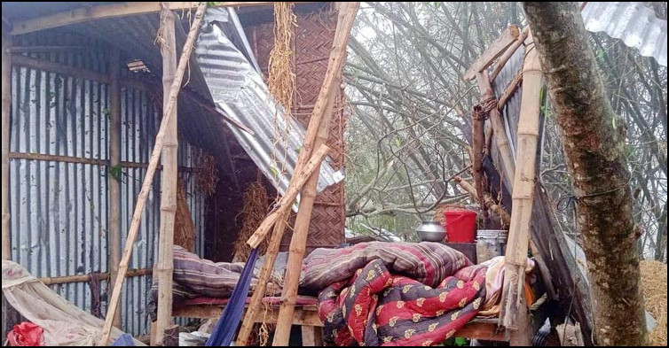 ব্যাপক ঘূর্ণিঝড়ে লন্ডভন্ড দেশের ২৪ গ্রাম