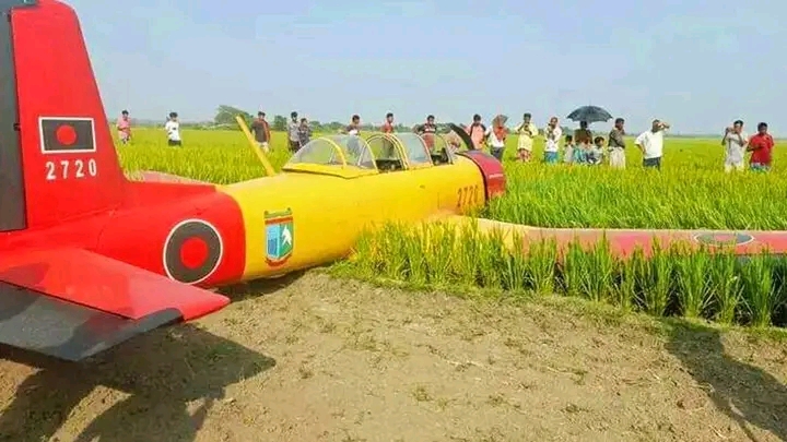 হঠাৎ বিমান নামল নড়াইলের ধান ক্ষেতে!