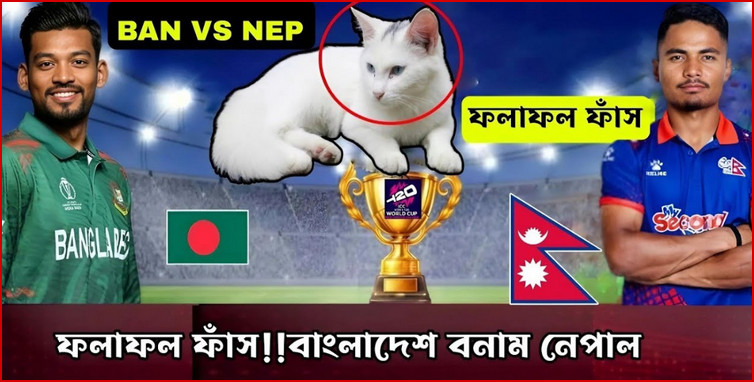 ফলাফল ফাঁস, বাংলাদেশ বনাম নেপালের ম্যাচে কোন দল জিতবে আগেই জানিয়ে দিলো জ্যোতিষী বিড়াল