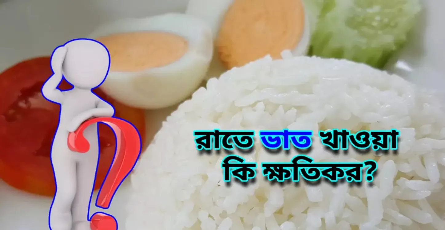 রাতে ভাত খাওয়া ক্ষতিকর কি না, যা বলছেন পুষ্টিবিদ
