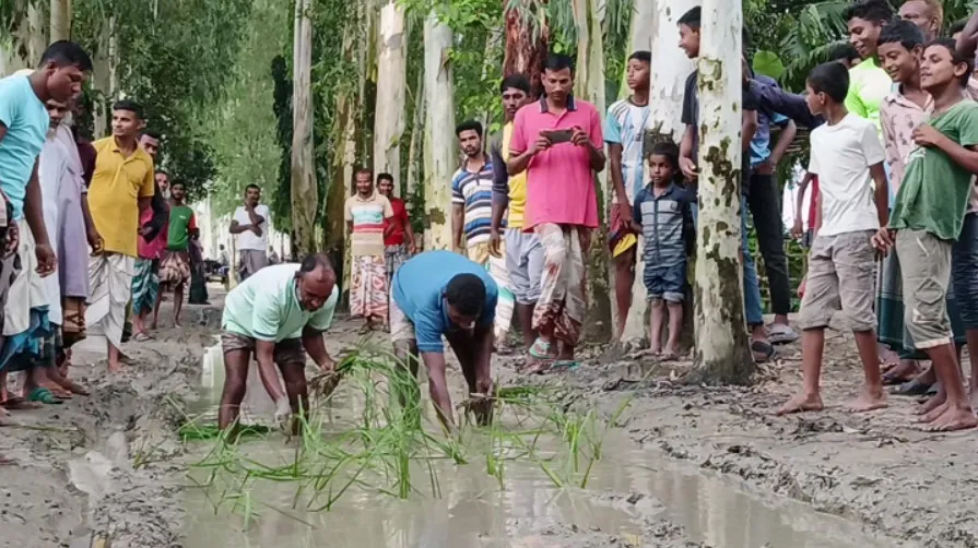তাজা খবরঃ রাস্তার কারণে বিয়ে হচ্ছে না যে এলাকার ছেলেমেয়ের
