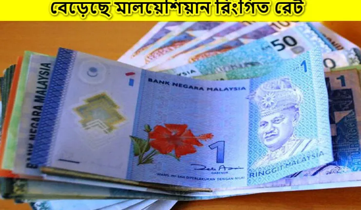 বাড়ছে মালয়েশিয়ান রিংগিত রেট, দেখেনিন আজকের রেট কত