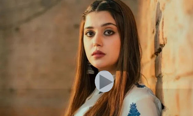 পাকিস্তানে অভিনেত্রীর ব্যক্তিগত গোঁপণ ভিডিও ফাঁ*স, সোশ্যাল মিডিয়ায় মুহূর্তেই ভাইরাল