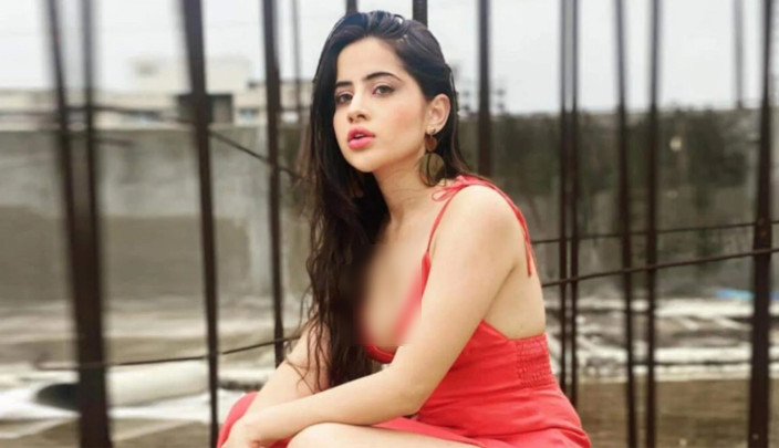 নিয়মিত স*হ*বা*স করলে শরীরে যা ঘটে জানালেন উরফি জাভেদ