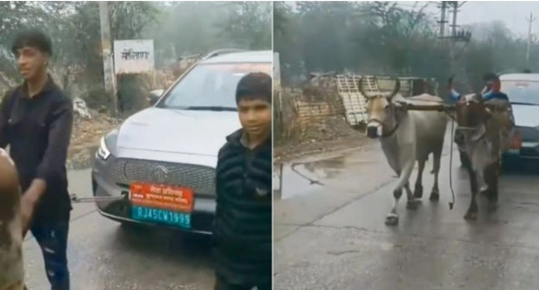 মাঝ রাস্তা থেকে হঠাৎ বিরোধীদলীয় নেতার গাড়ি টেনে নিয়ে আসা হলো গরু দিয়ে