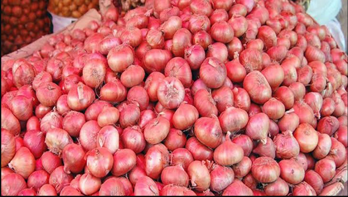 দাম কমলো পেঁয়াজের