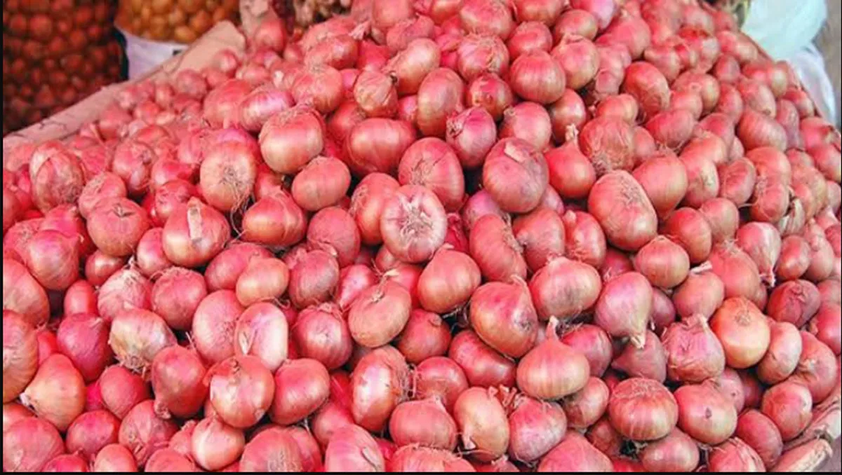দাম কমলো পেঁয়াজের