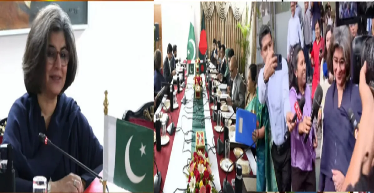 পাকিস্তানের পররাষ্ট্র সচিবের সাথে যেসব বিষয়ে কথা বললেন পররাষ্ট্র উপদেষ্টা