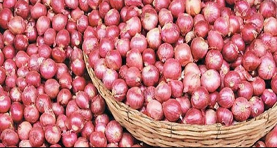 বড় সুখবর দেশি পেঁয়াজের দাম নিয়ে
