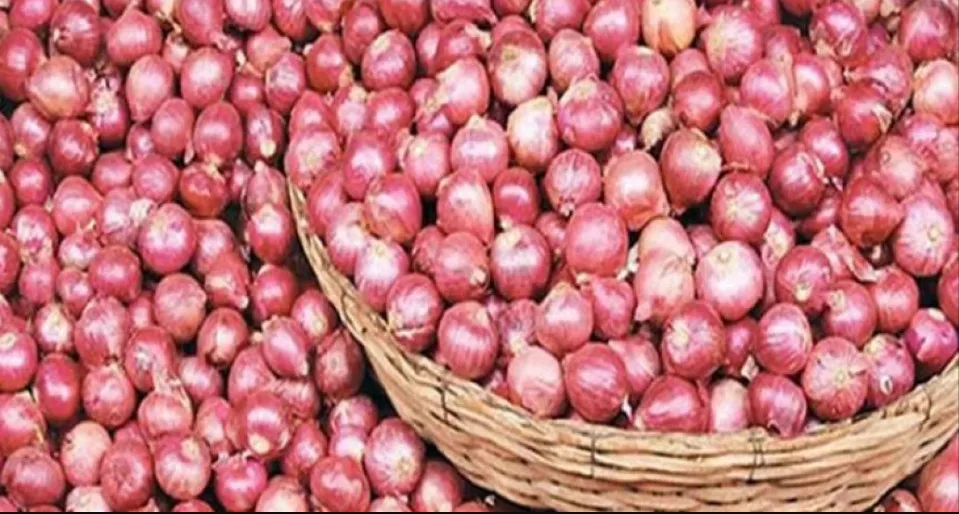 বড় সুখবর দেশি পেঁয়াজের দাম নিয়ে