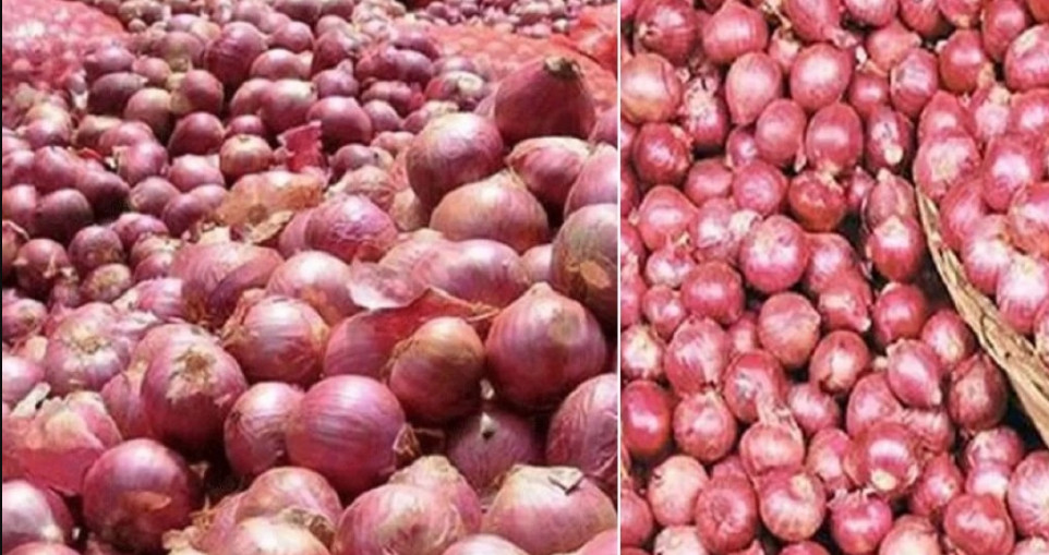 বড় সুখবর পেঁয়াজের দাম নিয়ে