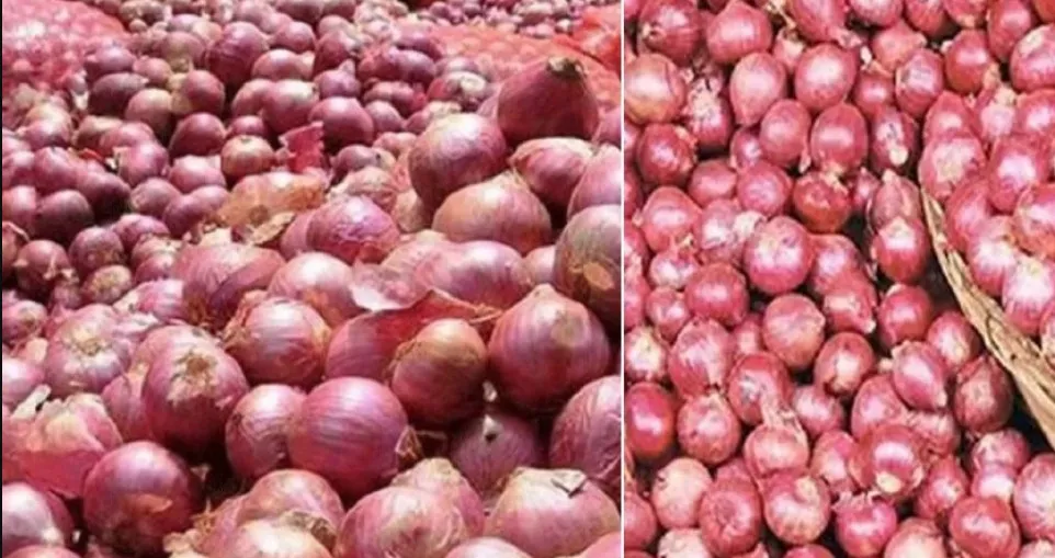 বড় সুখবর পেঁয়াজের দাম নিয়ে