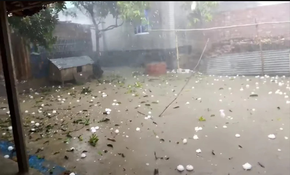 কয়েক মিনিটের শিলাবৃষ্টিতে দুই উপজেলার সর্বনাশ