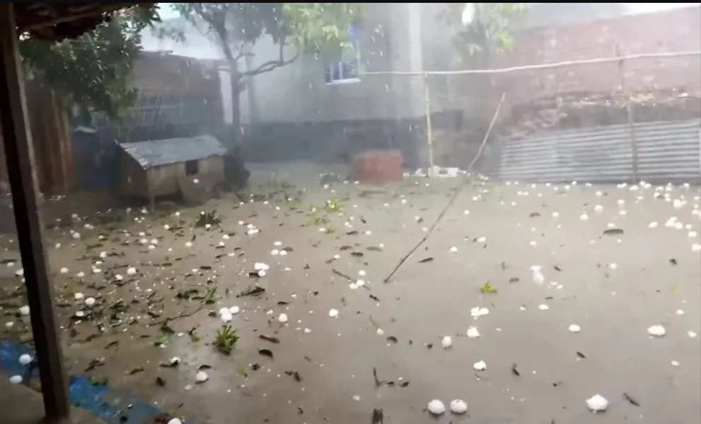 কয়েক মিনিটের শিলাবৃষ্টিতে দুই উপজেলার সর্বনাশ