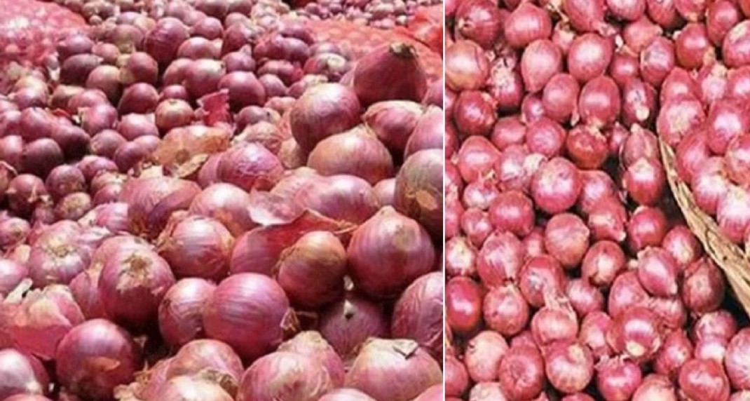 বড় সুখবর পেঁয়াজের বাজারে