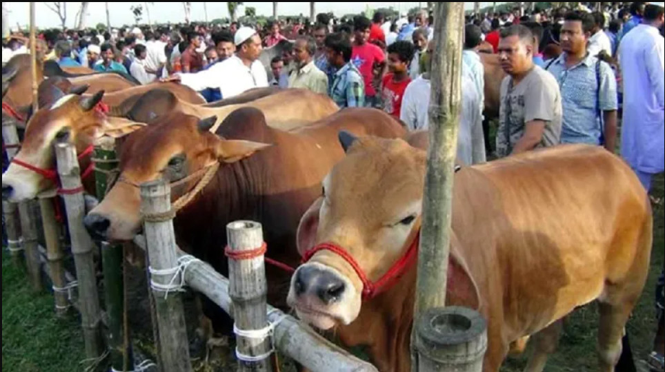 “ঢাকার যেসব স্থানে বসবে কুরবানির পশুর হাট ২০২৫”