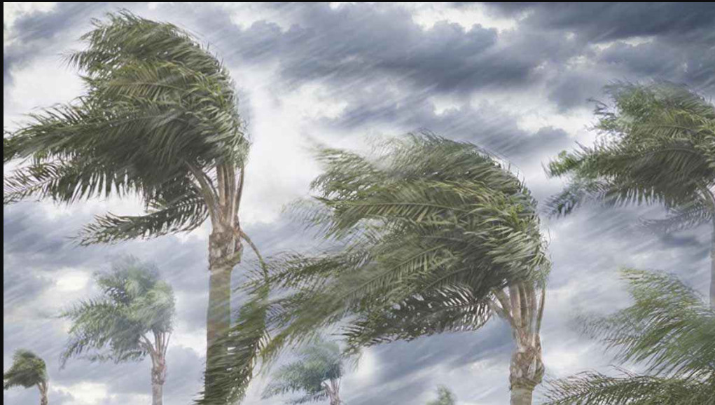 দুপুর ১টার মধ্যে ৮০ কিমি বেগে ঝড় হতে পারে যেসব জেলায়