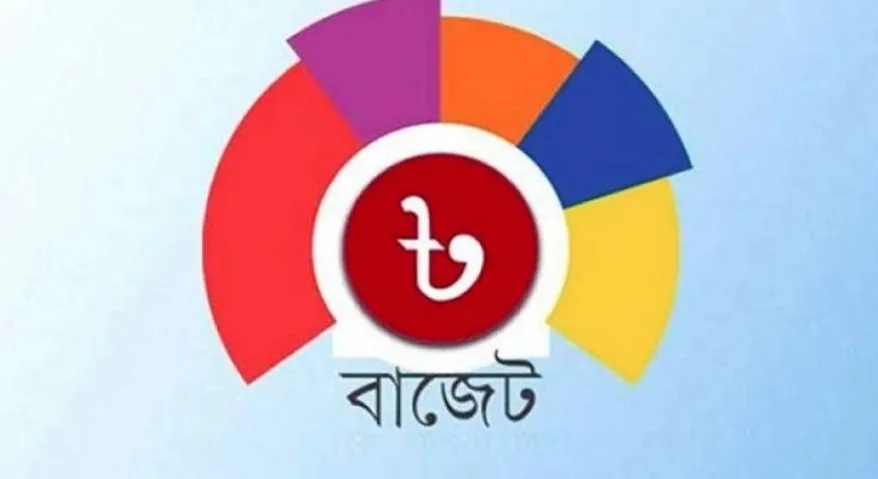 বাজেটে সুখবর, দাম কমতে পারে যেসব পণ্যের