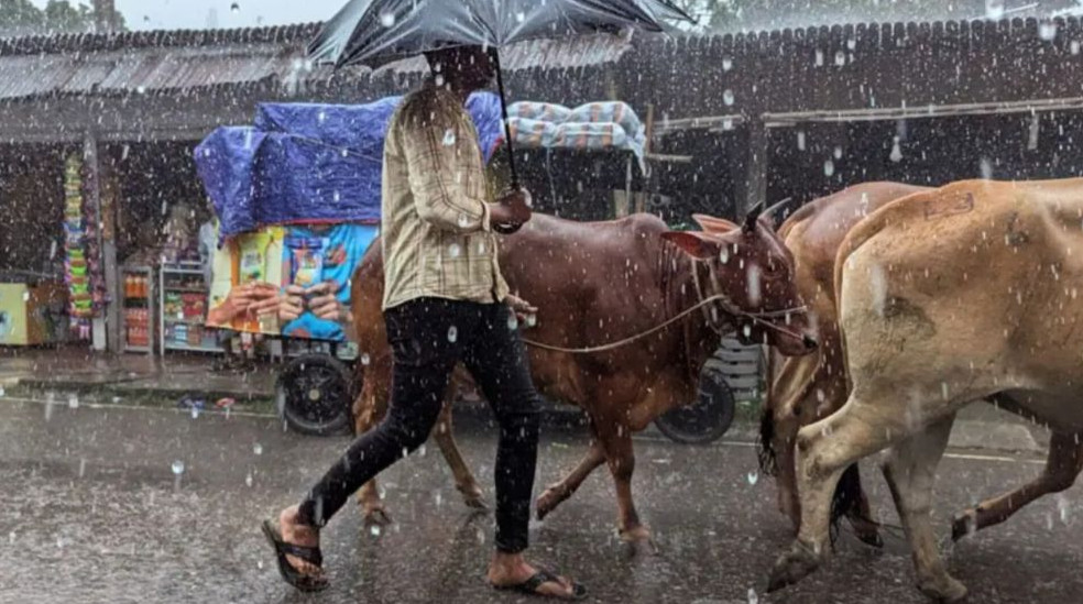 ঈদে কোথায় কতটা বৃষ্টির হওয়ার সম্ভাবনা