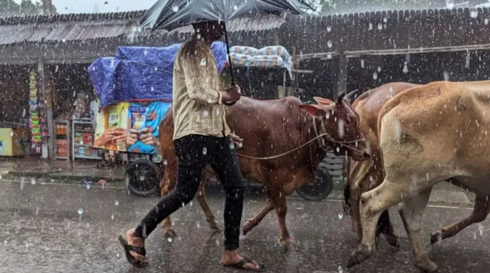 ঈদে কোথায় কতটা বৃষ্টির হওয়ার সম্ভাবনা