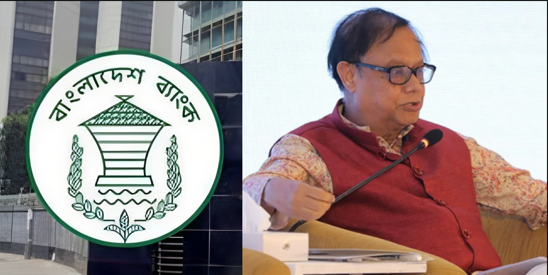 দেশের ব্যাংক গুলো নিয়ে কঠিন সিদ্ধান্ত, ১২টি গ্রুপে ভাগ করার ঘোষণা দিলো : বাংলাদেশ ব্যাংক