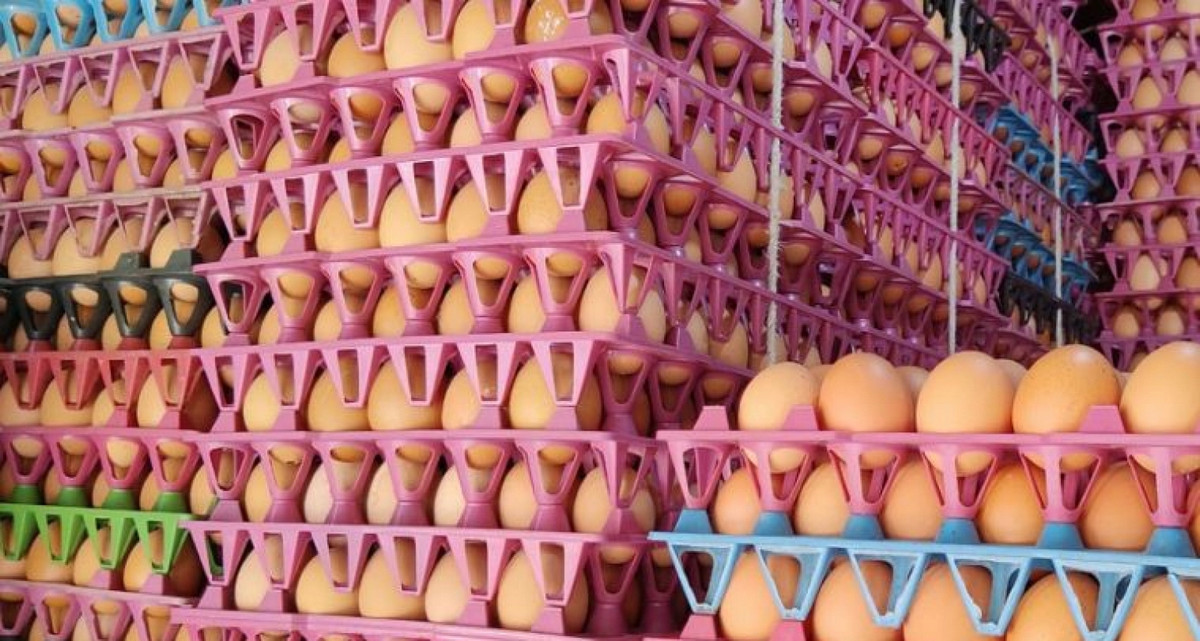 পাল্টে গেছে ডিমের বাজার