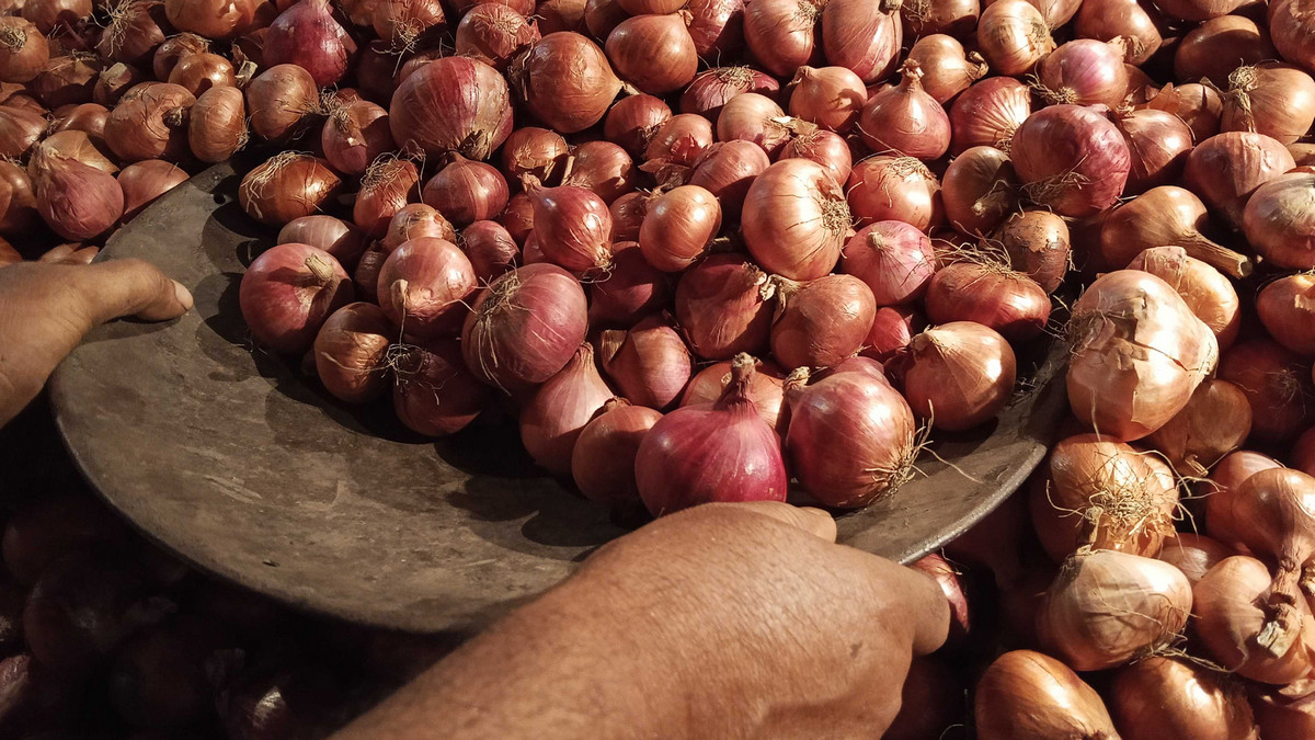 একলাফে কমলো পেয়াজের দাম