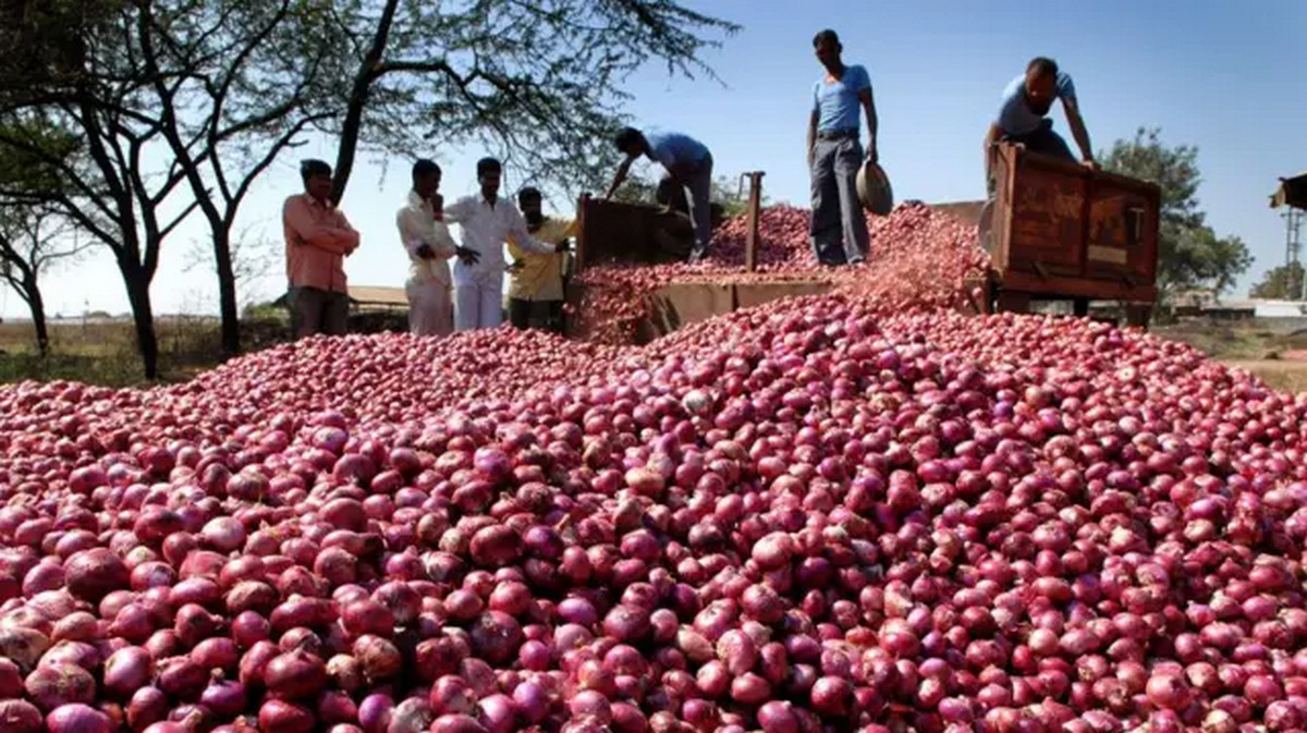 দাম কমলো পেঁয়াজের