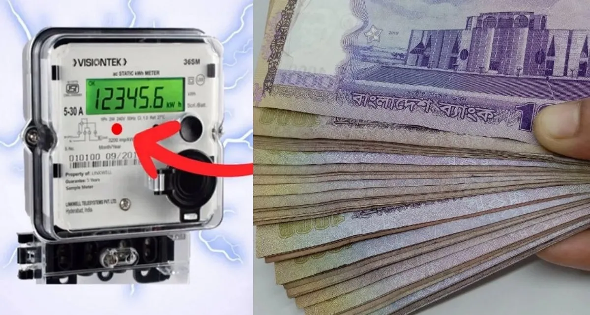 যা করলে বিদ্যুৎ বিল নেমে আসবে অর্ধেকে