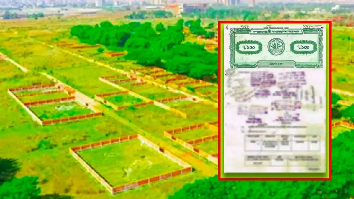 সাবধান! একই জমি একাধিক বিক্রি হলে আসল মালিকানা কার?