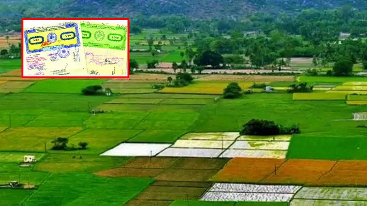 জমি কিনছেন? নামজারি বাতিলের ১০ কারণ, বাঁচুন এই ভুলগুলো থেকে!
