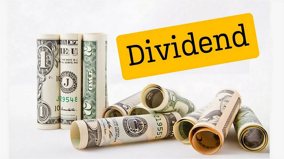 ২০% নগদ লভ্যাংশ ঘোষণা, শেয়ারবাজারে তালিকাভুক্ত দুই কোম্পানির ডিভিডেন্ড ঘোষণা