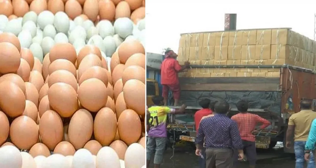 আজ হঠাৎ পাল্টে গেলো ডিমের দাম