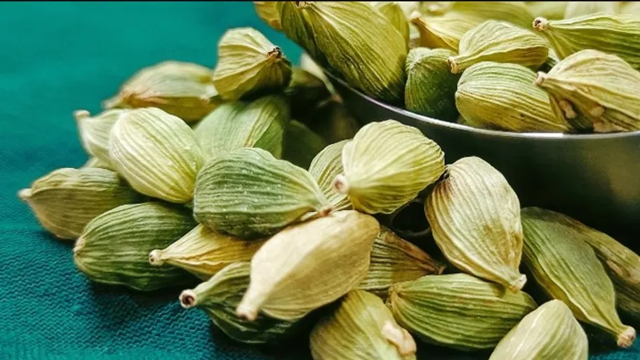 হজম থেকে হার্ট—এক এলাচেই সমাধান ১২ জটিল সমস্যার
