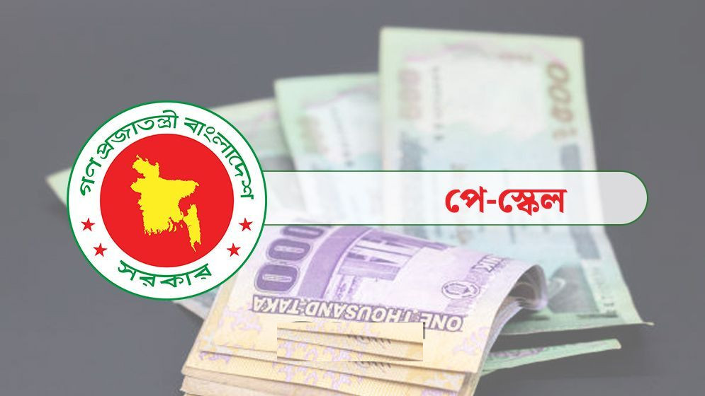 পে স্কেলের বাজেট যেসব খাতে ব্যয় হয়েছে