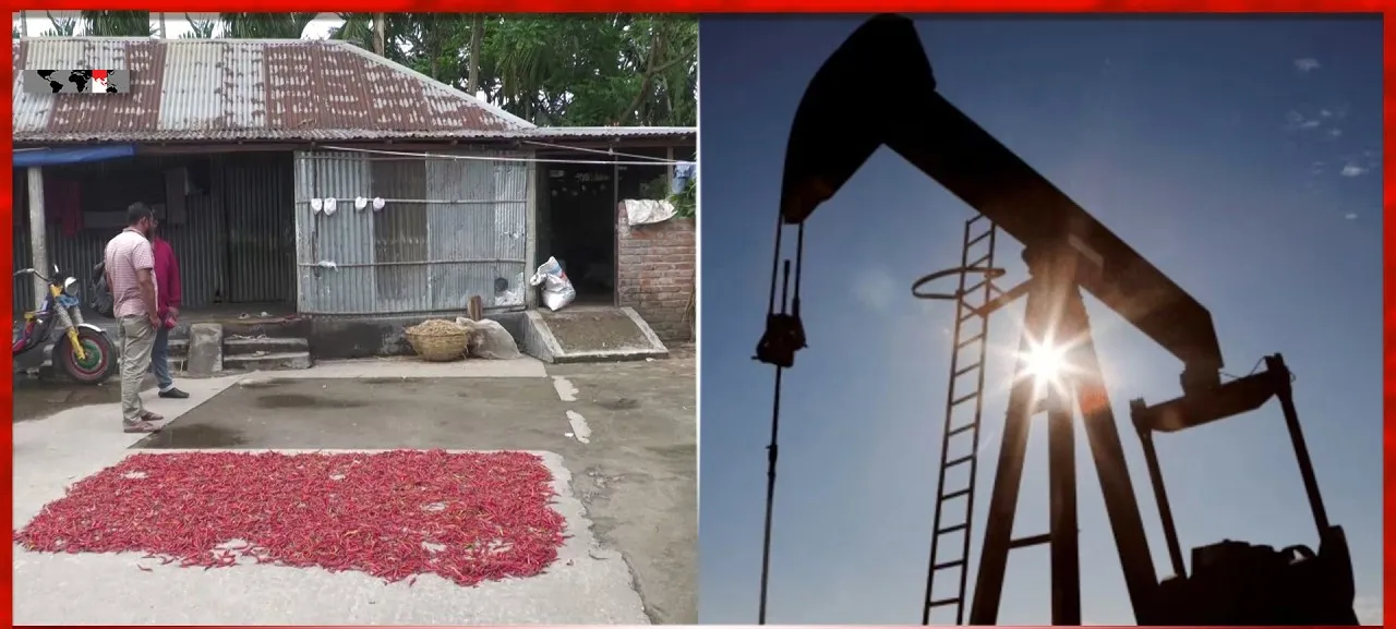 বাংলাদেশে তেল খনি : ৯০০ মিটার গভীরে তেল পাওয়ার খবর, গুজব নাকি বাস্তব? যা জানালো পেট্রোবাংলা