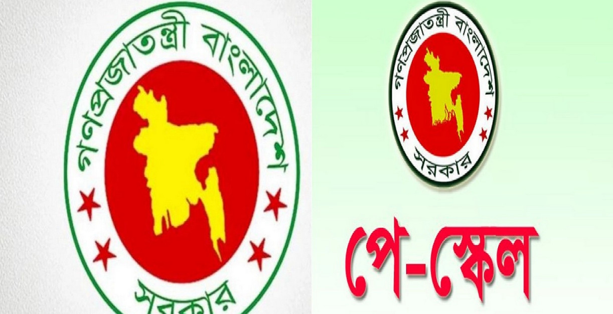 সরকারি চাকরিজীবীদের জন্য সুখবর! নতুন পে-স্কেলে নিম্ন গ্রেডের কর্মীদের বেতন বাড়তে পারে বেশি